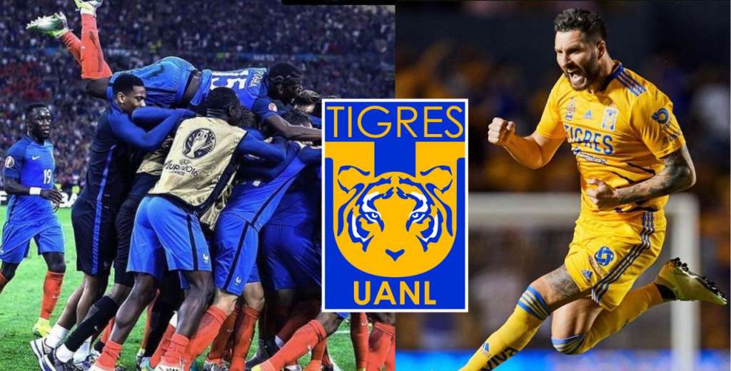 Tigres va por el fichaje de otro crack francés para acompañar a Gignac