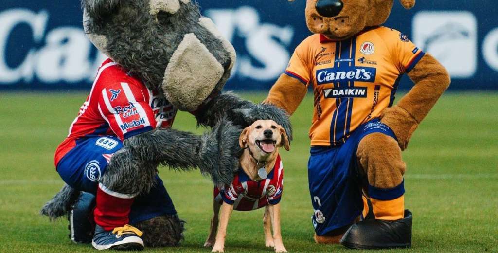 Ingenio y amor: así celebraron los clubes mexicanos el Día Mundial del Perro