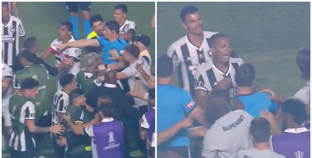 Piñas en la Libertadores: Zubeldía se peleó con los jugadores de Botafogo